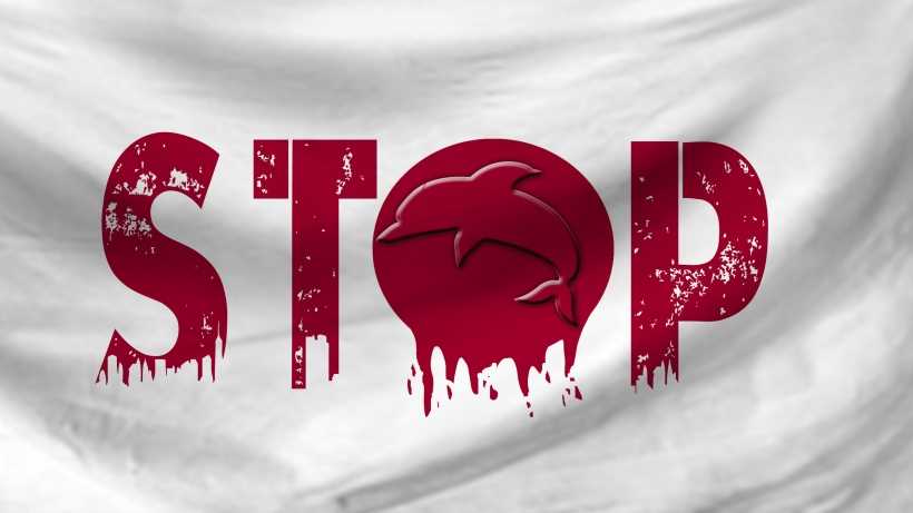 ban dolphin hunting in Japan. Stop!