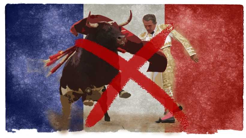 Ban bullfighting in France