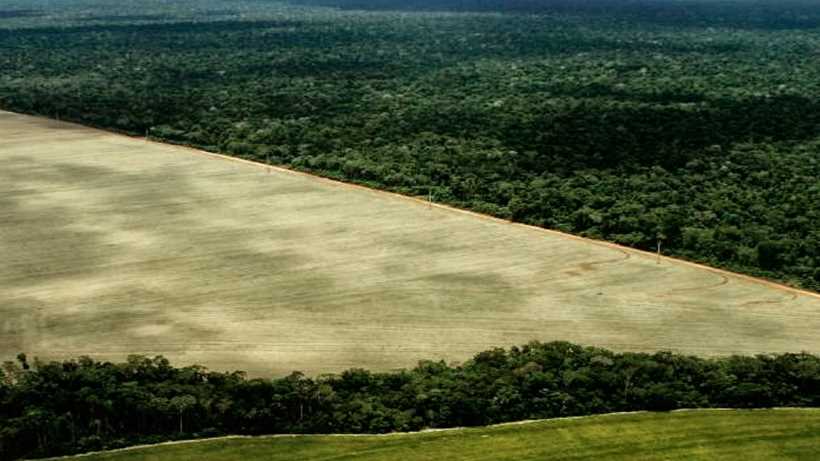 Exploiting the Amazon natural resources?