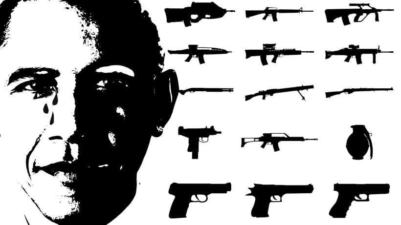Obama's gun control policy