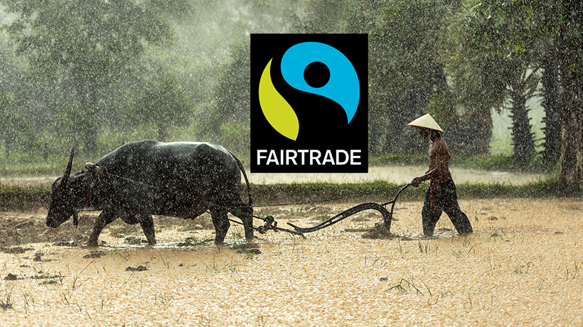 fair trade pros and cons