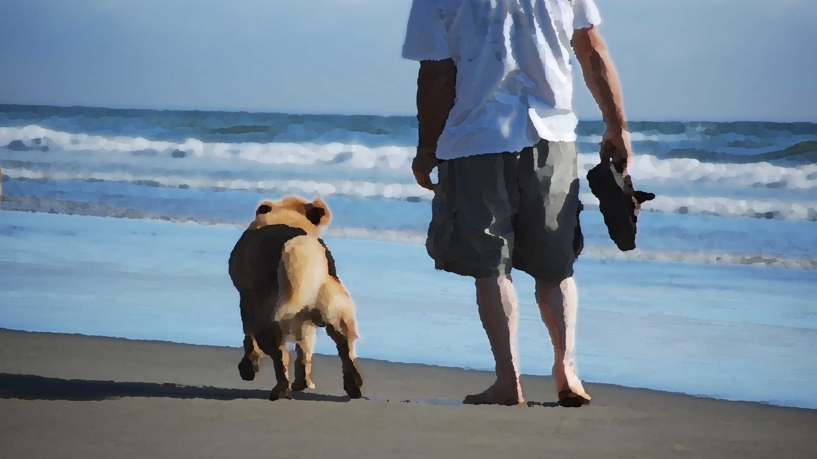Dogs on the beach? - netivist