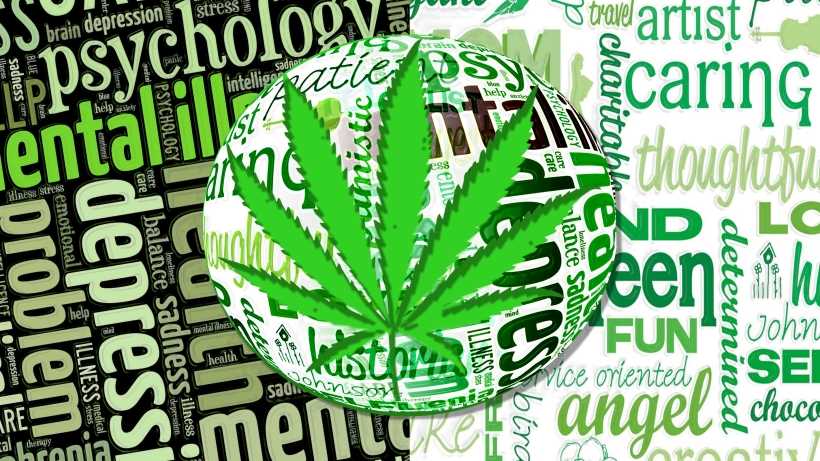 legalization of cannabis debate