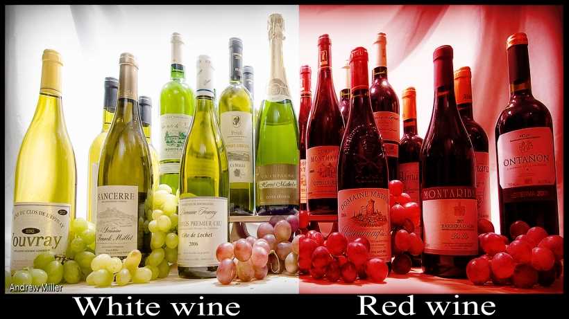 Healthiest wine to drink: red or white