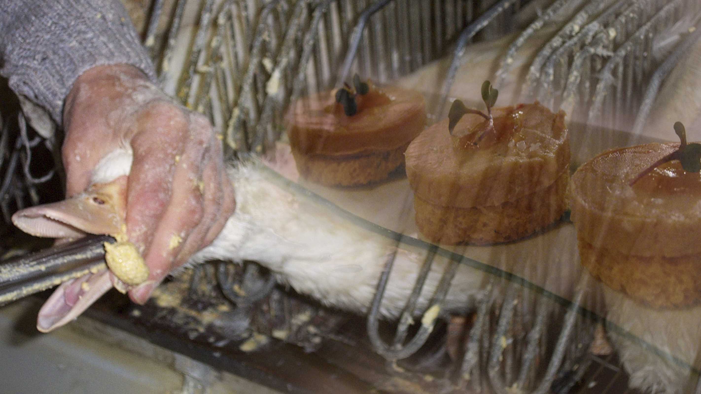 Fuah!' sure: the vegan foie gras selling out across Spain